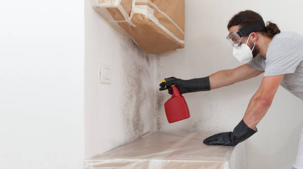 Professional Attic Mold Remediation technician working in Guston, KY